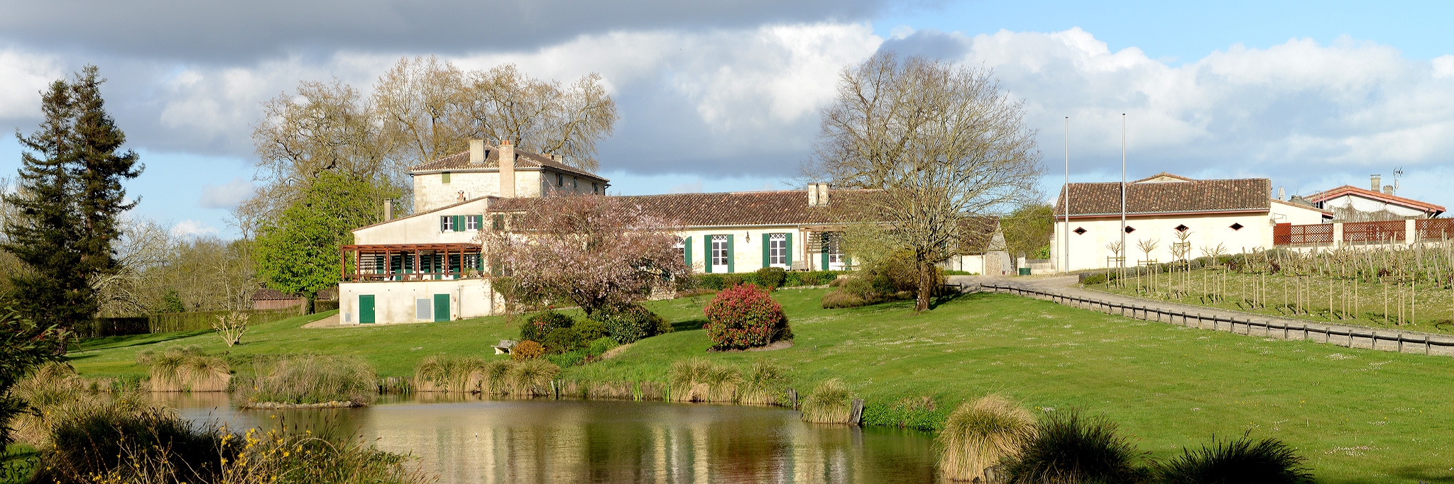 Château Angludet